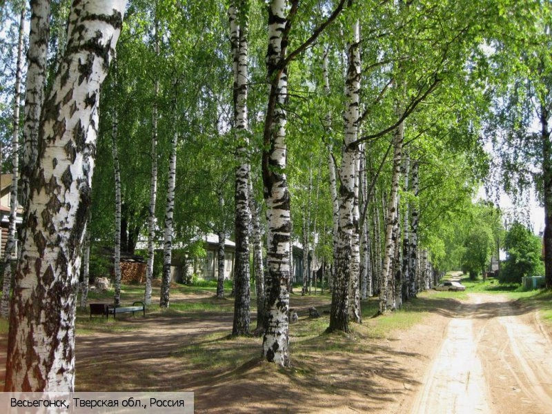 Весьегонск город