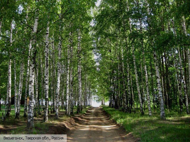 Весьегонск город