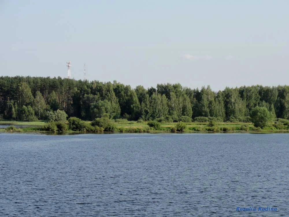 Мышкинский район