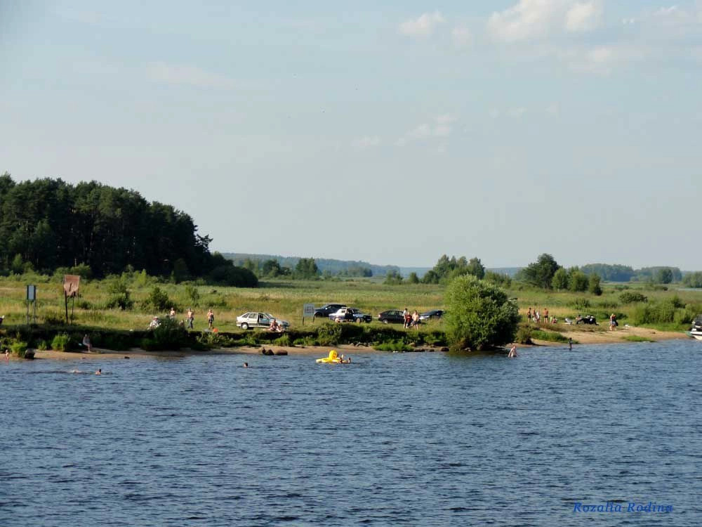 Мышкинский район