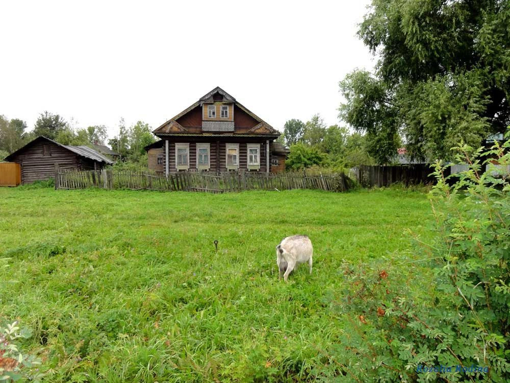 Тутаевский район