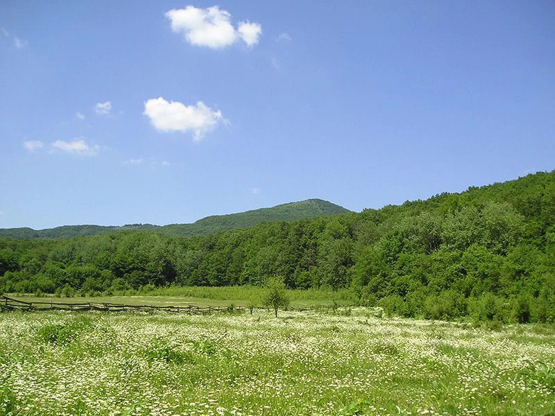 Краснодарский край