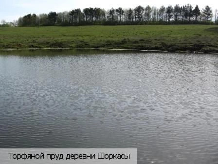 Шоркасы (Шумшевашское с.п.)