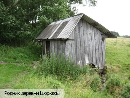 Шоркасы (Шумшевашское с.п.)