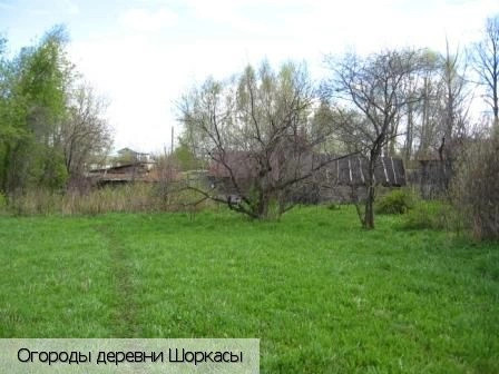 Шоркасы (Шумшевашское с.п.)