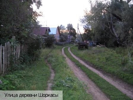 Шоркасы (Шумшевашское с.п.)