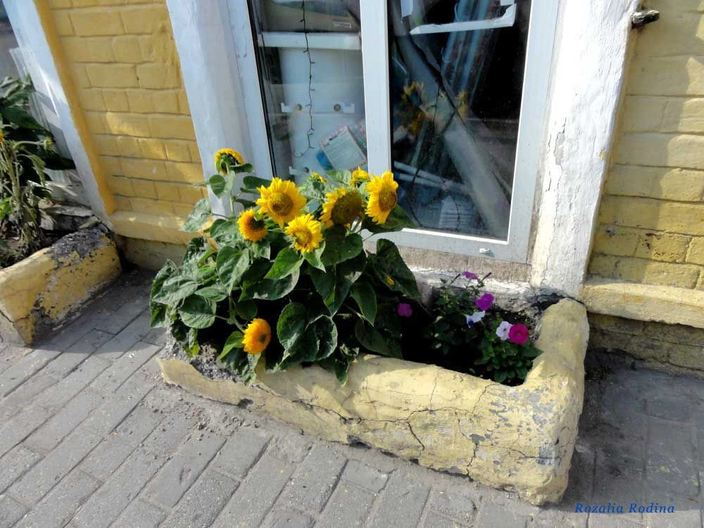 Городец город