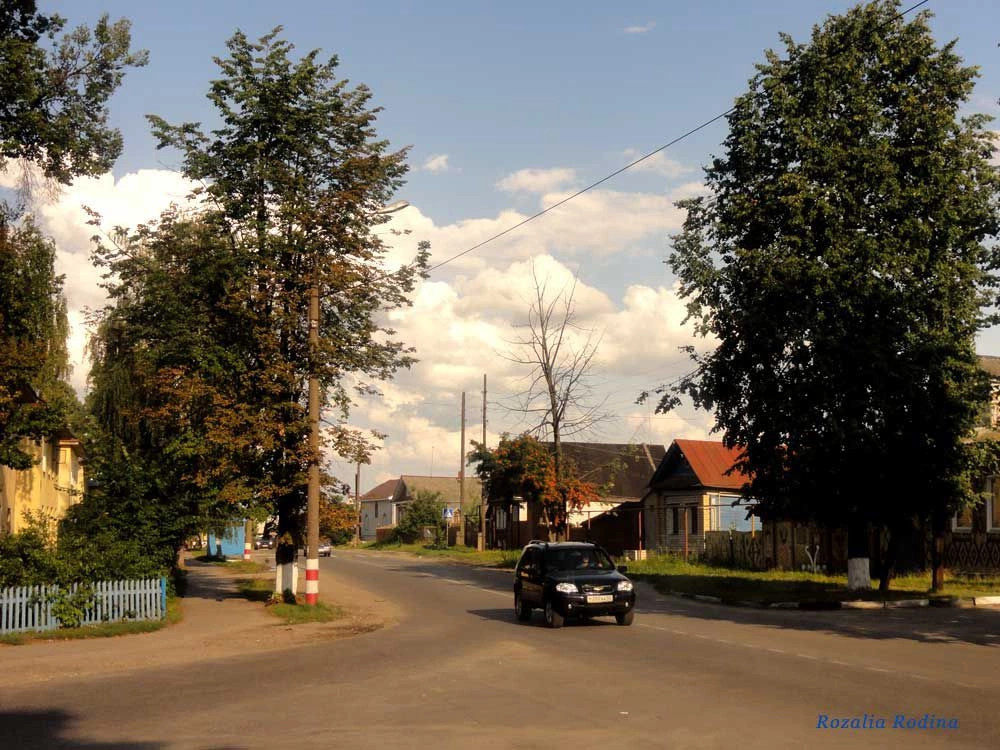 Городец город
