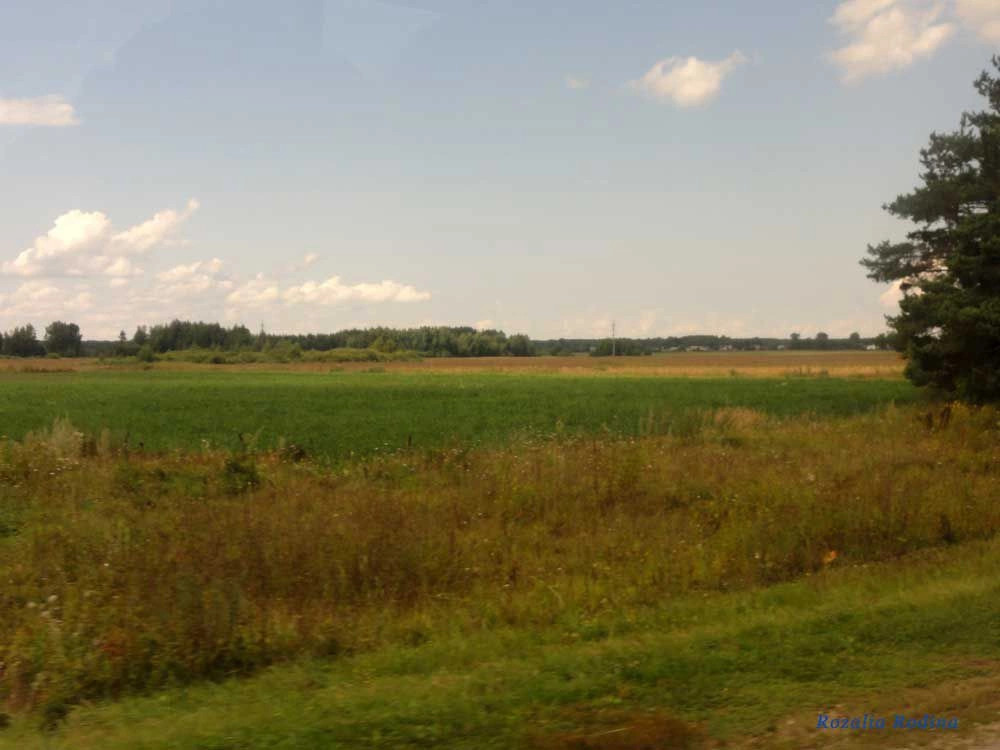 Нижегородская область