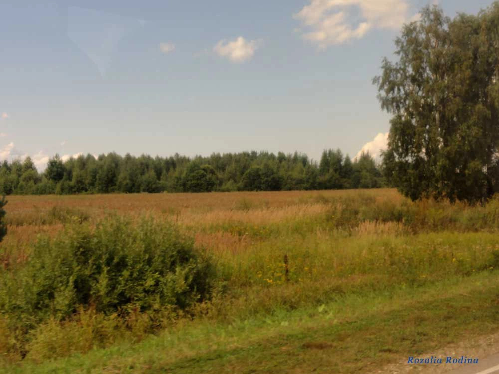 Пестово деревня (Городецкий р-н)