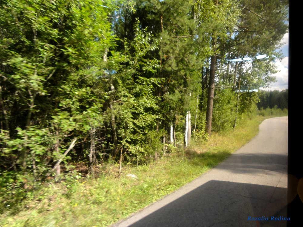Нижегородская область