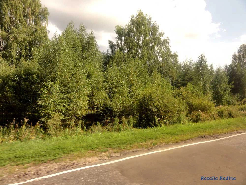 Нижегородская область