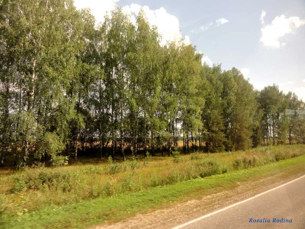 Нижегородская область