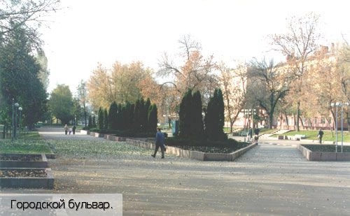 Орловская обл.