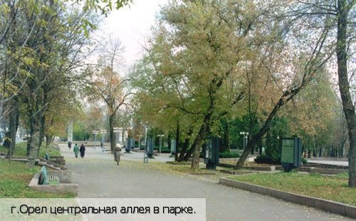 Орловская обл.