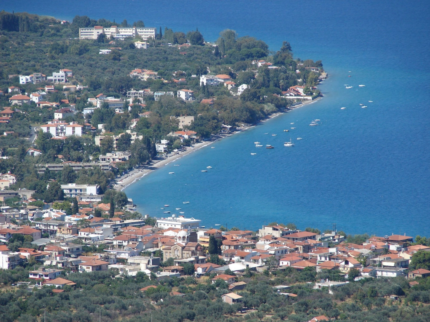 Селиантика