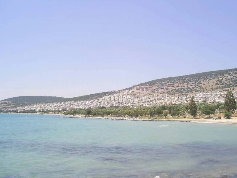 Алтынкум