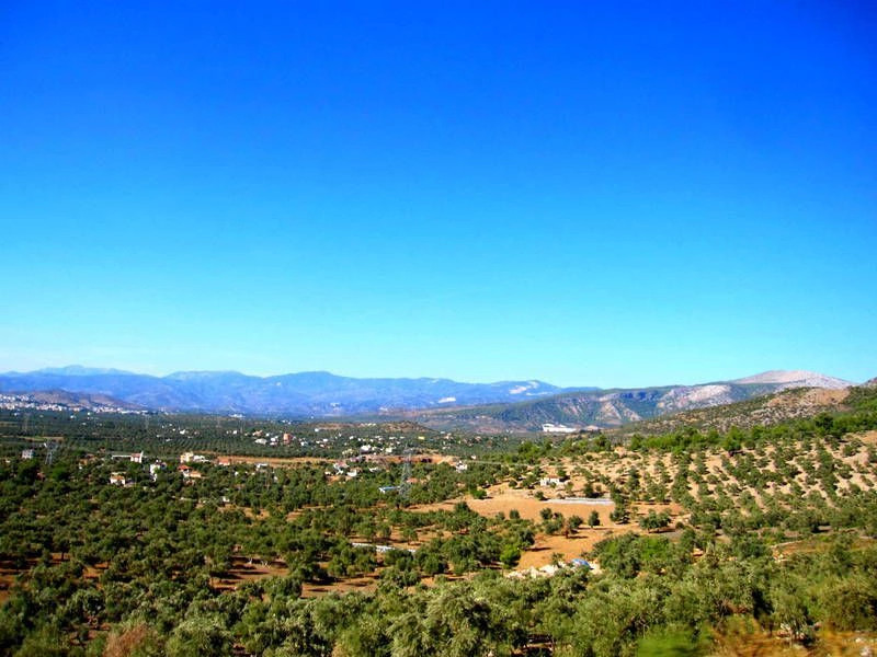 Миляс (город)