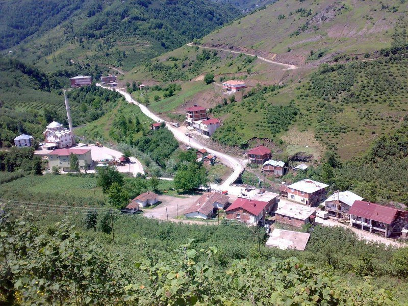 Орду