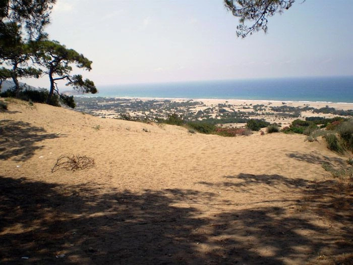Патара
