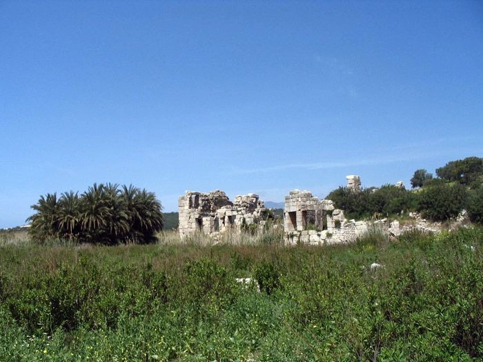 Патара
