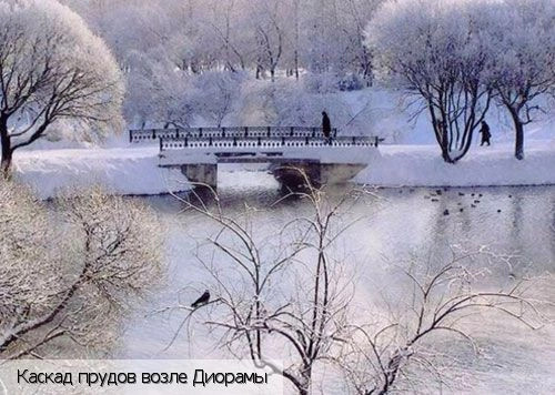Кировская область