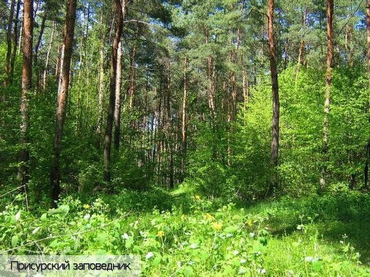 Чувашия