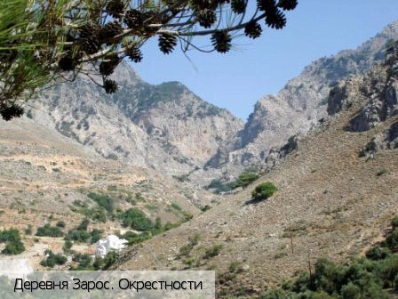 Зарос