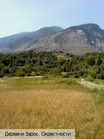 Зарос