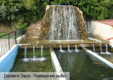 Зарос