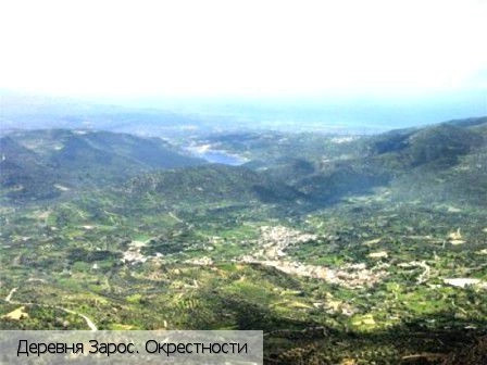 Зарос