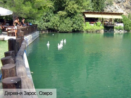 Зарос