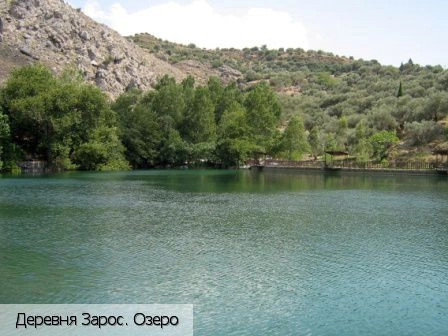 Зарос