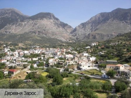 Зарос