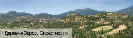 Зарос