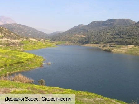 Зарос