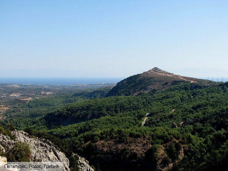 Петалудес