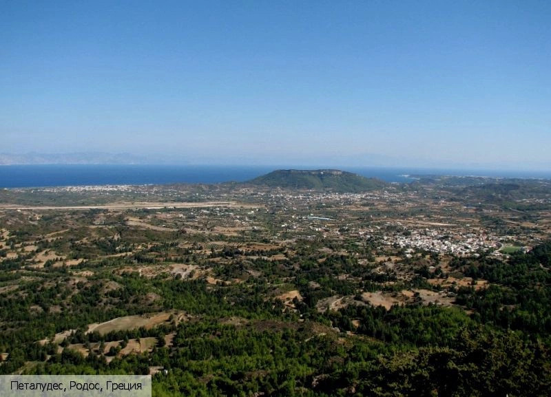 Петалудес