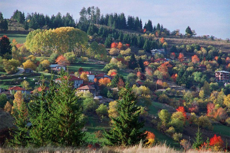 Гела