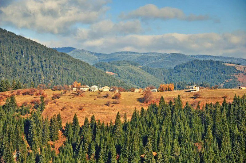 Гела