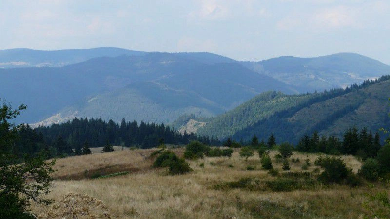 Гела