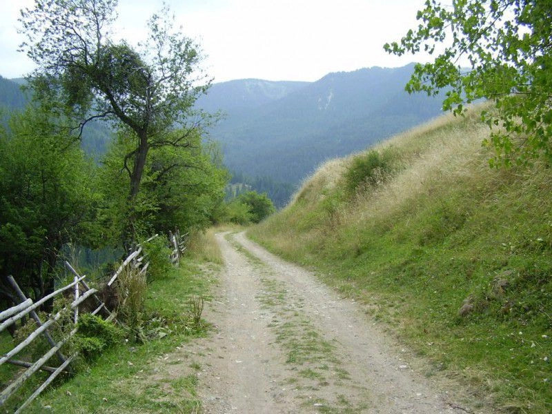 Гела