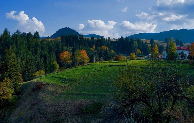 Гела