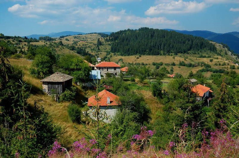 Гела