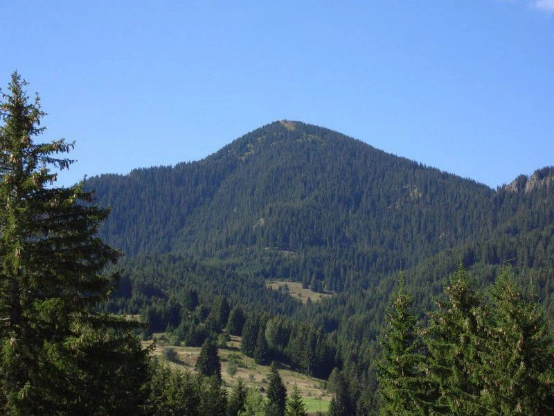Гела