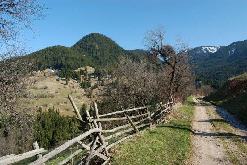 Гела