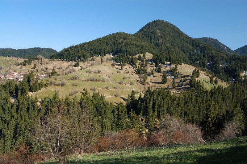 Гела