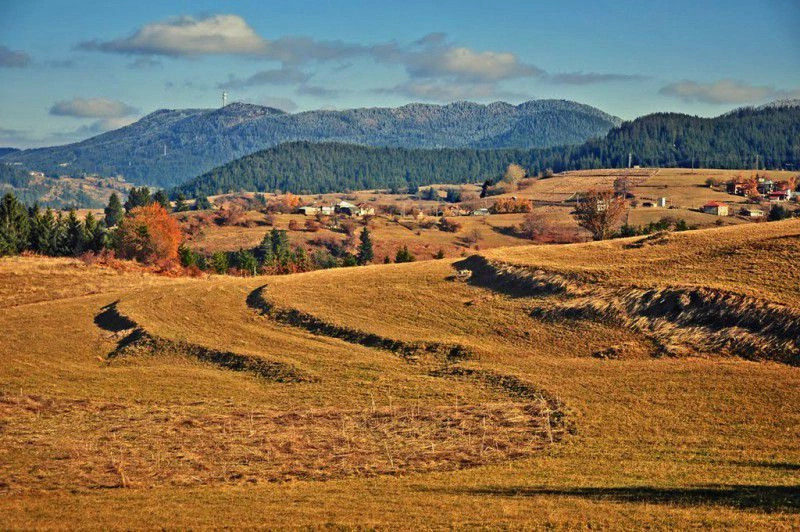 Гела