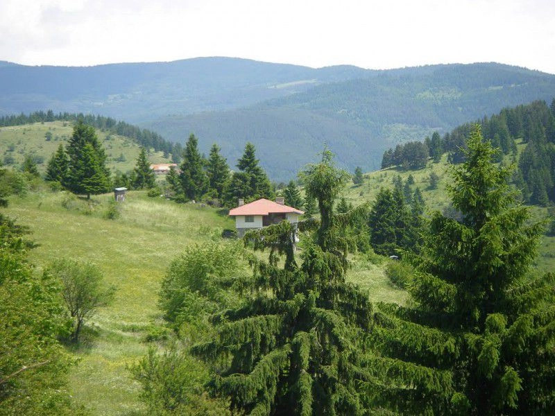 Гела