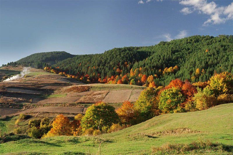 Гела